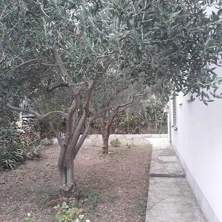 Boljat * Trogir