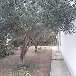 Boljat * تروغير